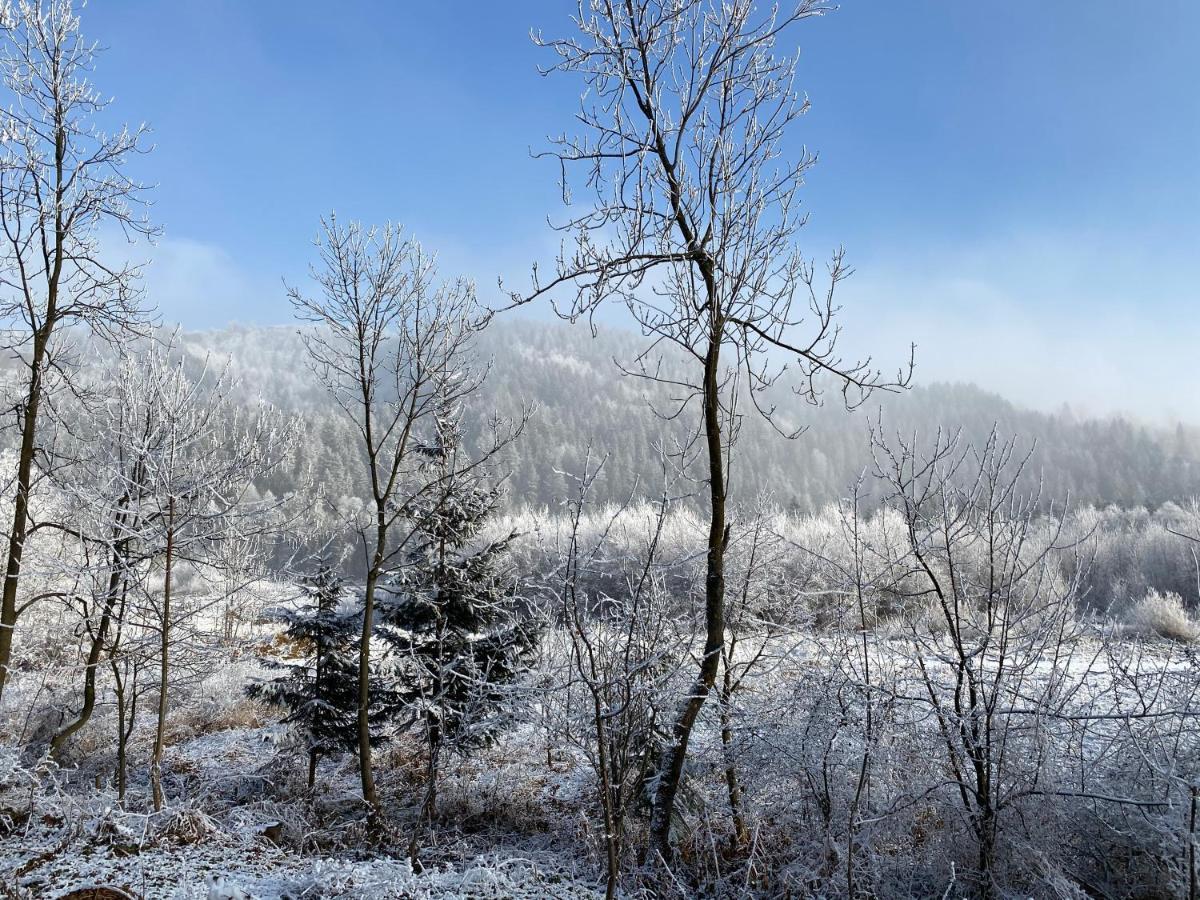 Pokoje Goscinne Pod Jaworem - Obok Pieknego Szlaku Wzdluz Rzeki Bialka, 1Km Do Stokow Kotelnica Buitenkant foto