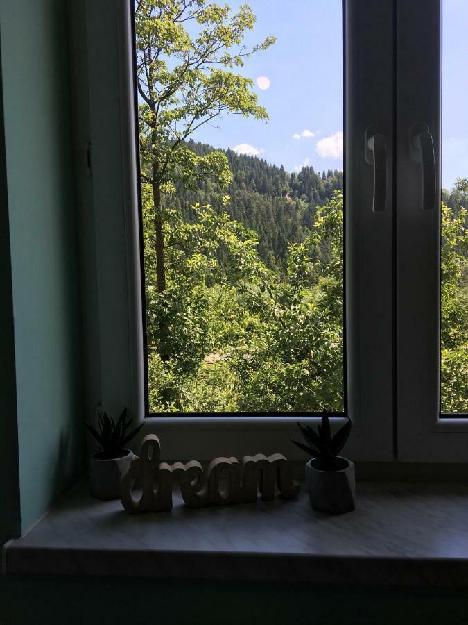 Pokoje Goscinne Pod Jaworem - Obok Pieknego Szlaku Wzdluz Rzeki Bialka, 1Km Do Stokow Kotelnica Buitenkant foto